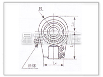 C25、D25系列高壓重型液壓缸